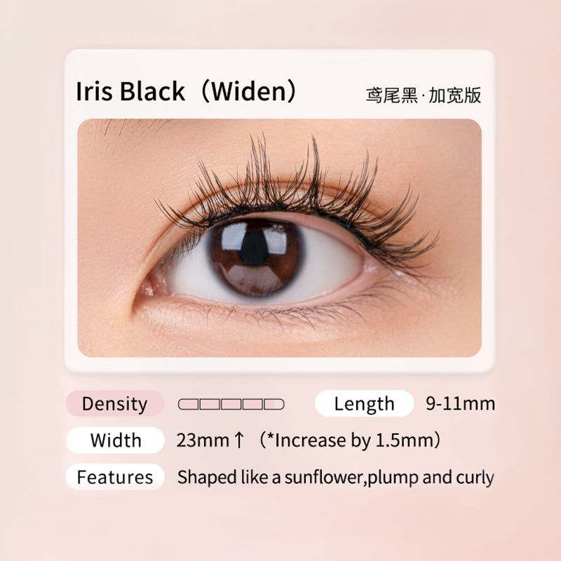 Iris Black (PLUS Series)